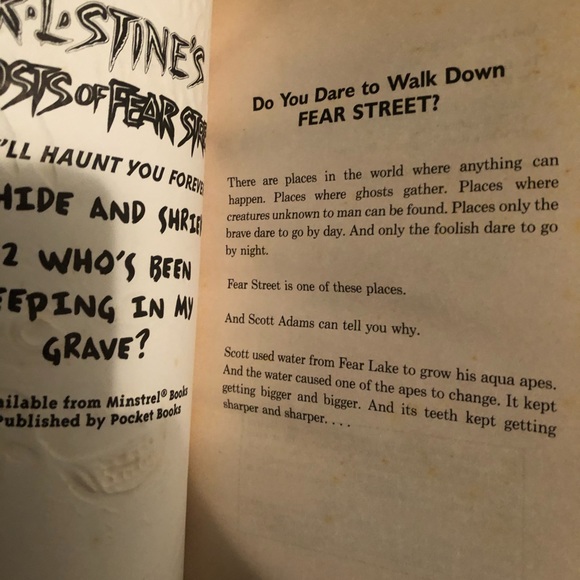 R.L. Stine Fear of ghosts street books 2 & 3 - who’s been sleeping in my grave - Picture 3 of 8